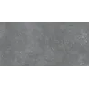 Accro gris argenté